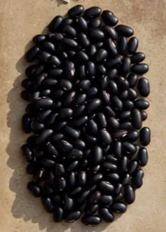 Black beans (njahi)