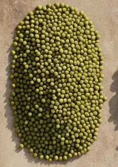 ndengu (mung beans)